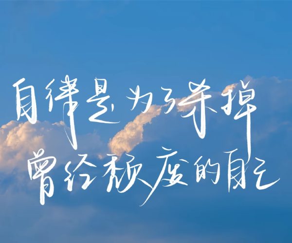 终将上岸